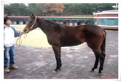 Ž���� ����