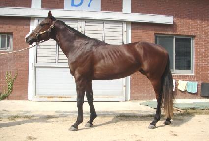 ��Ʈ���� ����