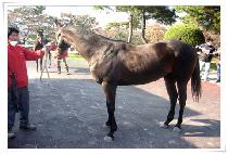 ����ĭ (MAGIC KHAN) ����