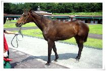 �������� (MYEONGNANG GONGJU) ����