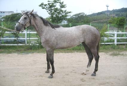 �ضߴ¾�ħ ����