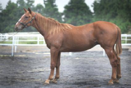 ���ƽ�Ÿ�̰� ����