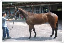 �ְ��Ǽ��� (CHOEGOUISUNGAN) ����