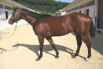 �������� ����