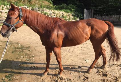 ���� ����