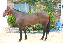 �غ� (HAEBONG) ����