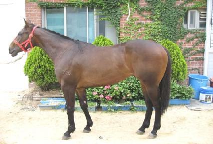 �غ� ����