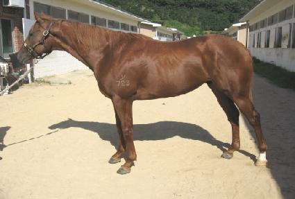 ���� ����