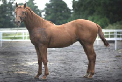 �ö��׷��� ����