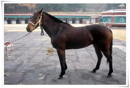 �귣ư ����