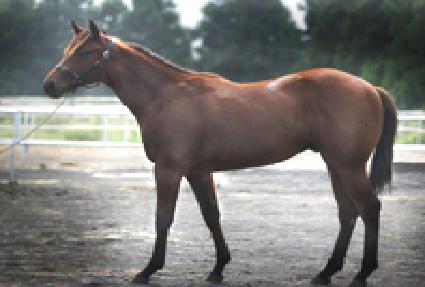 �������� ����