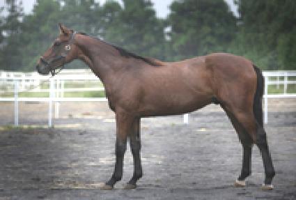 �������� ����