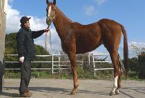 �ִٿ��� (CHOEDAYEONSEUNG) ����