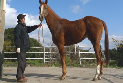 �ִٿ��� ����