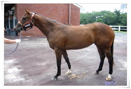 �������� ����