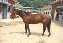 ĸƾ�ػ罺 (CAPTAIN TEXAS) ����