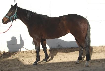 ������� ����