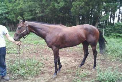 �����Ѻ��� ����