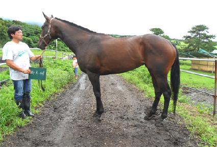 �Ϸ翡 ����