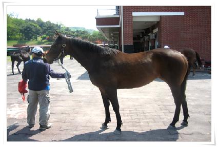 ���Ȱ ����