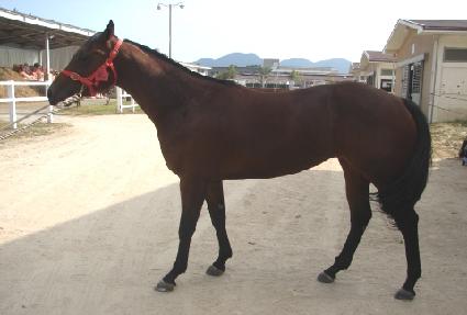 ���׿�� ����