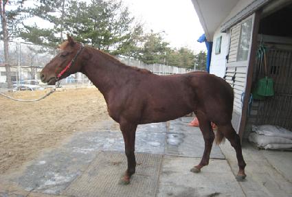 ������� ����