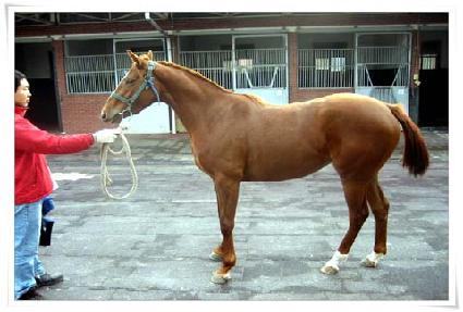 ���ν�Ƽ ����