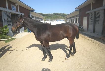 �������� ����