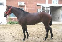 �����޻� (NAMDO HAETSAL) ����