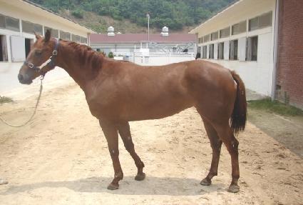 ������� ����