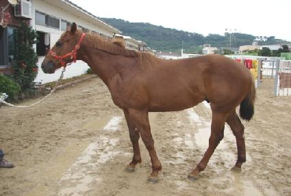 �̳������� ����