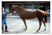 ������� (MUHANHUIMANG) ����