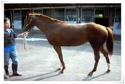 ������� ����