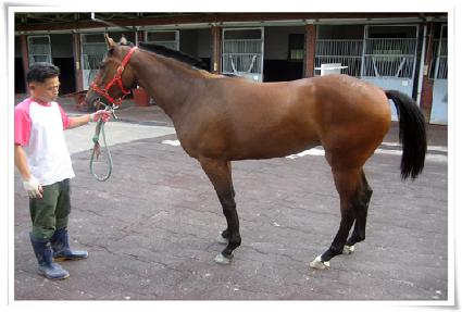 ����ɼ� ����