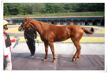 ���̻��� ����