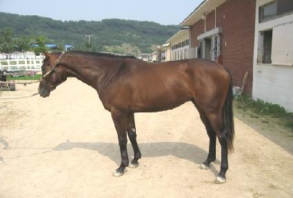 �ϵ������ ����