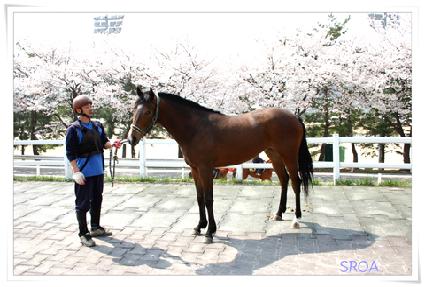 �������� ����