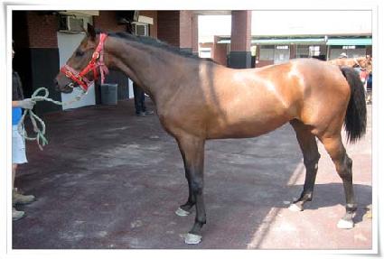 ��ǳ ����