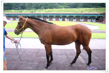 �������� ����