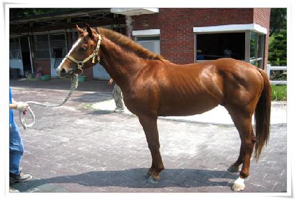 ĭ�ʴ��� ����