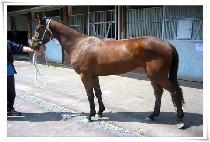 �������� (SEOLMASEOLMA) ����