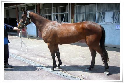 �������� ����