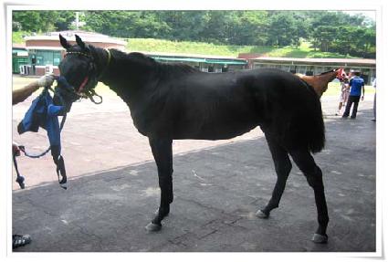 ������� ����