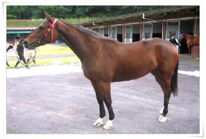 �û�� ����