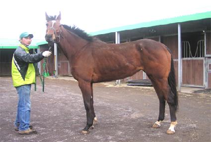 ������ ����