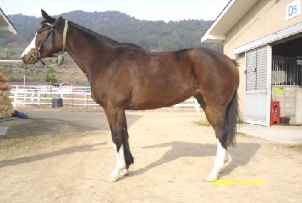 õ��ȯ�� ����