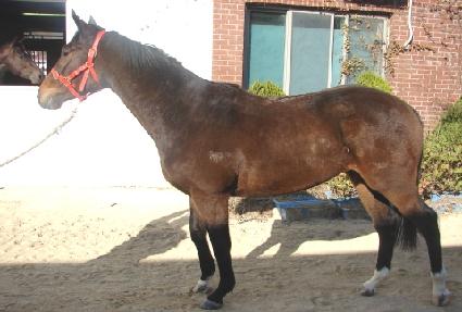 �ϵ�� ����