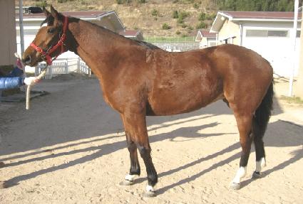 ���������� ����