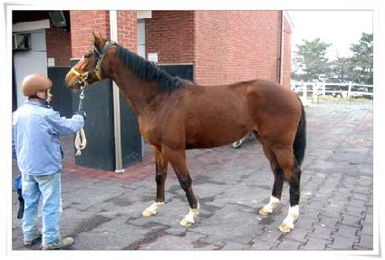 ȭ����� ����