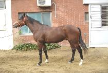 �������� (SEONNYANG JEPAE) ����